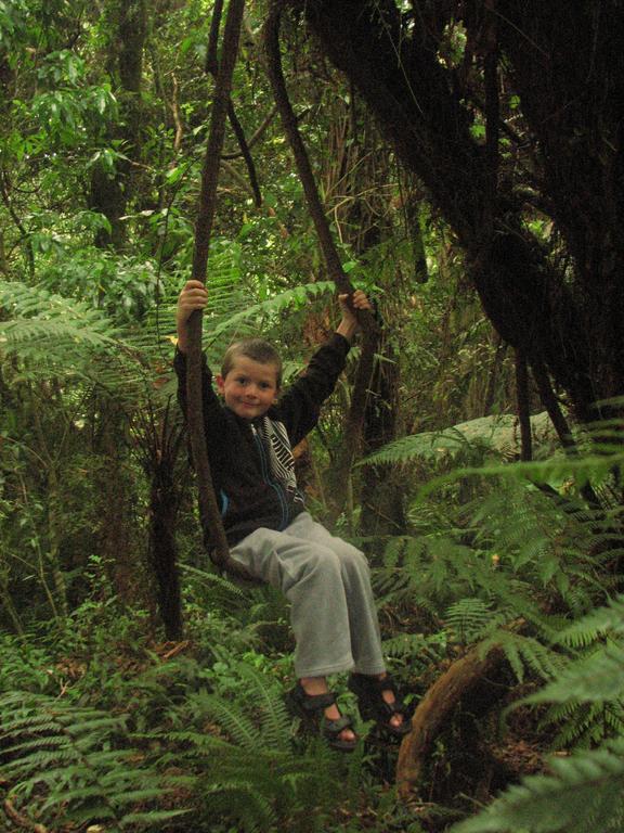 Catlins Newhaven Holiday Park Owaka الغرفة الصورة
