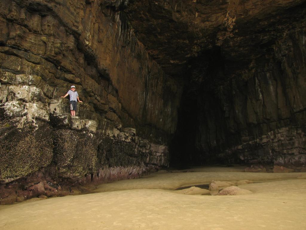 Catlins Newhaven Holiday Park Owaka الغرفة الصورة