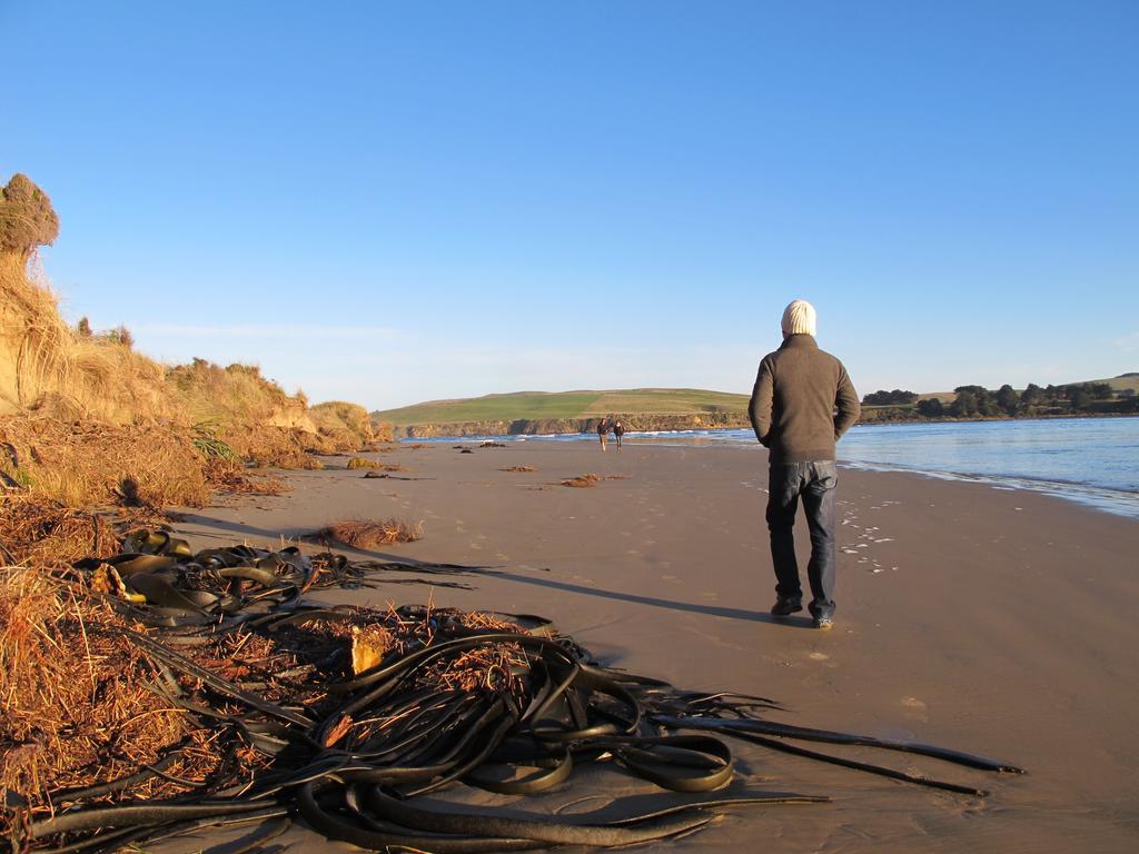 Catlins Newhaven Holiday Park Owaka الغرفة الصورة