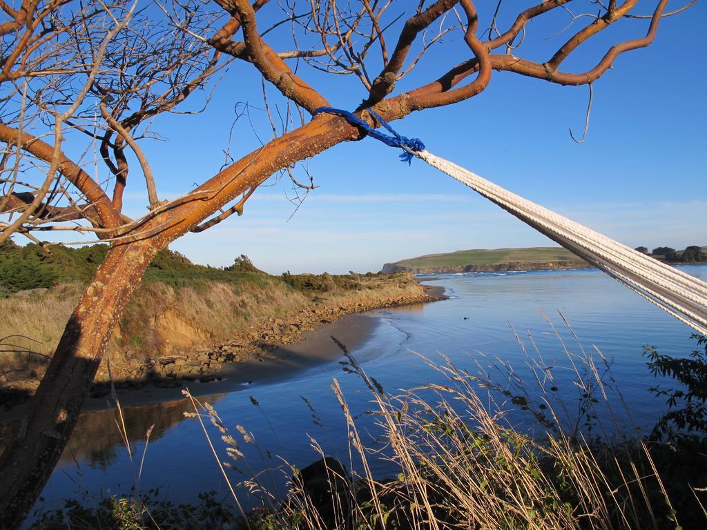 Catlins Newhaven Holiday Park Owaka الغرفة الصورة