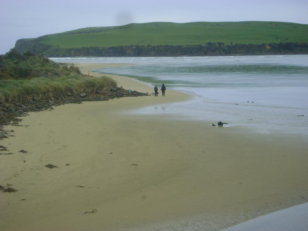 Catlins Newhaven Holiday Park Owaka المظهر الخارجي الصورة