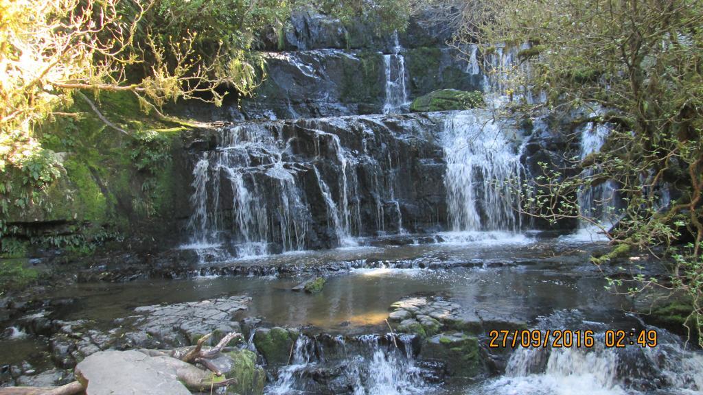 Catlins Newhaven Holiday Park Owaka المظهر الخارجي الصورة