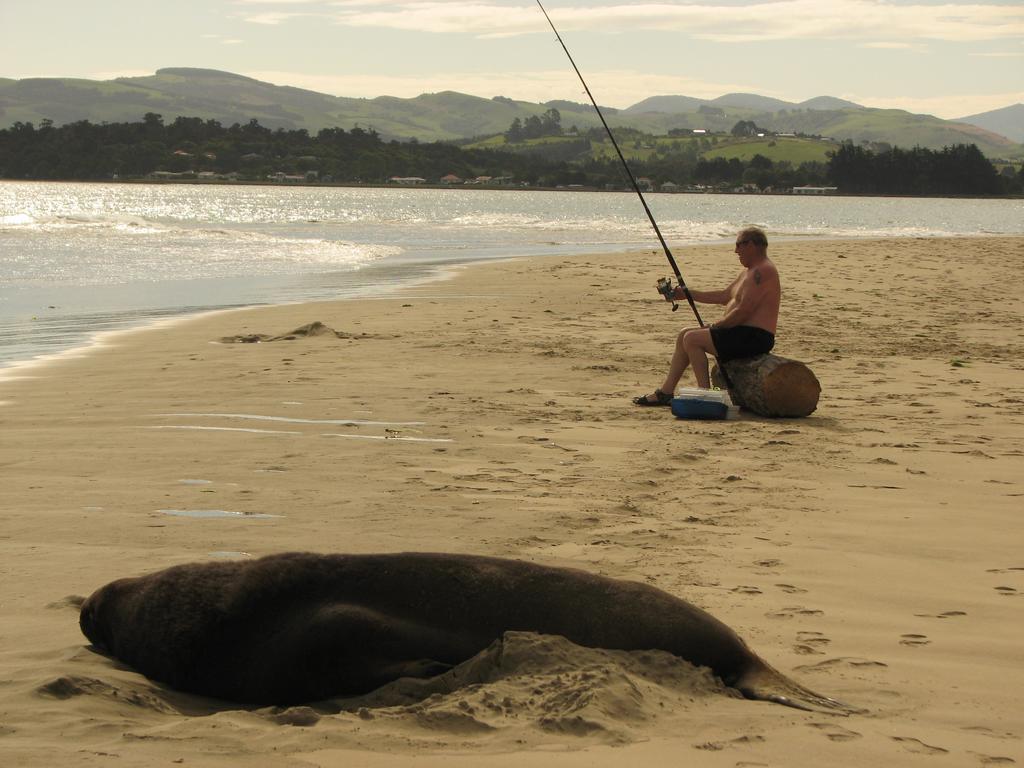 Catlins Newhaven Holiday Park Owaka المظهر الخارجي الصورة