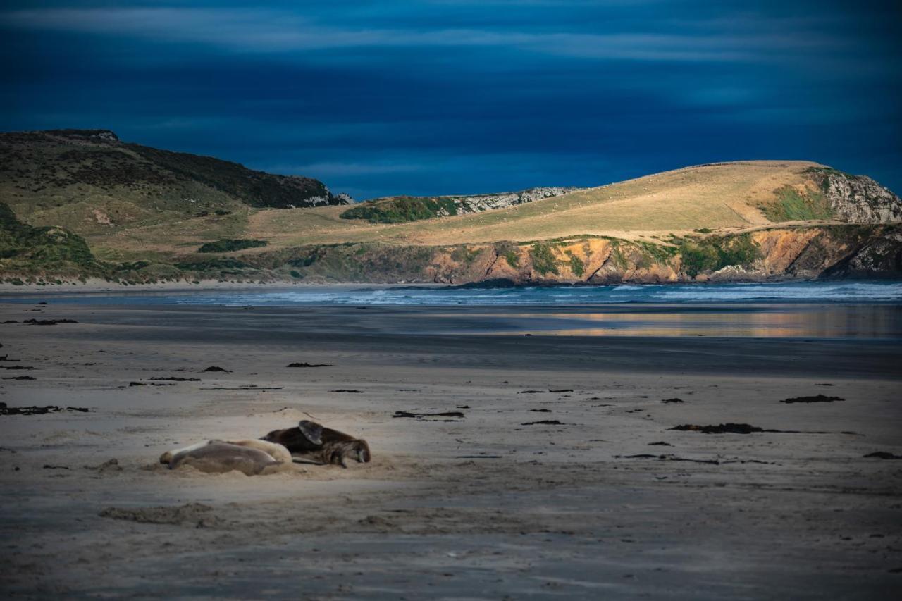 Catlins Newhaven Holiday Park Owaka المظهر الخارجي الصورة